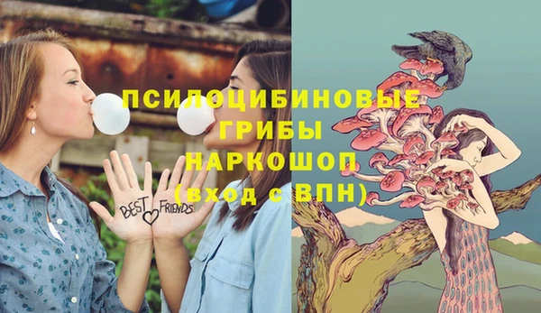 герыч Арсеньев