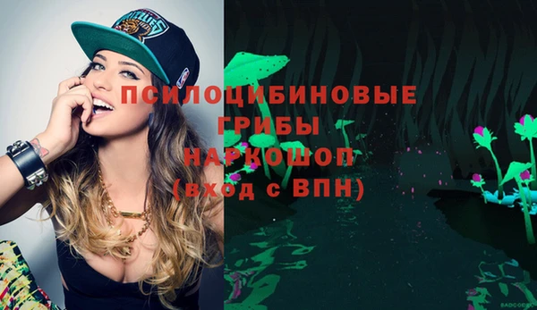 герыч Арсеньев