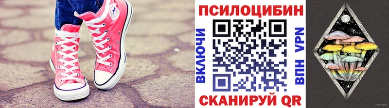 Псилоцибиновые грибы Cubensis  даркнет сайт  Николаевск 