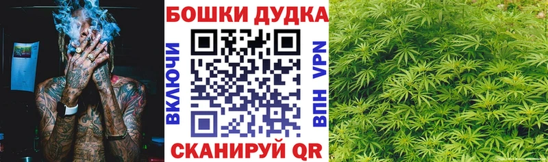 Канабис MAZAR  OMG ONION  Николаевск  как найти закладки 